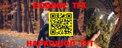тгк Камышлов